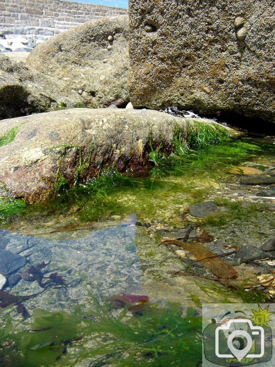 Tolcarne Rock Pool 001