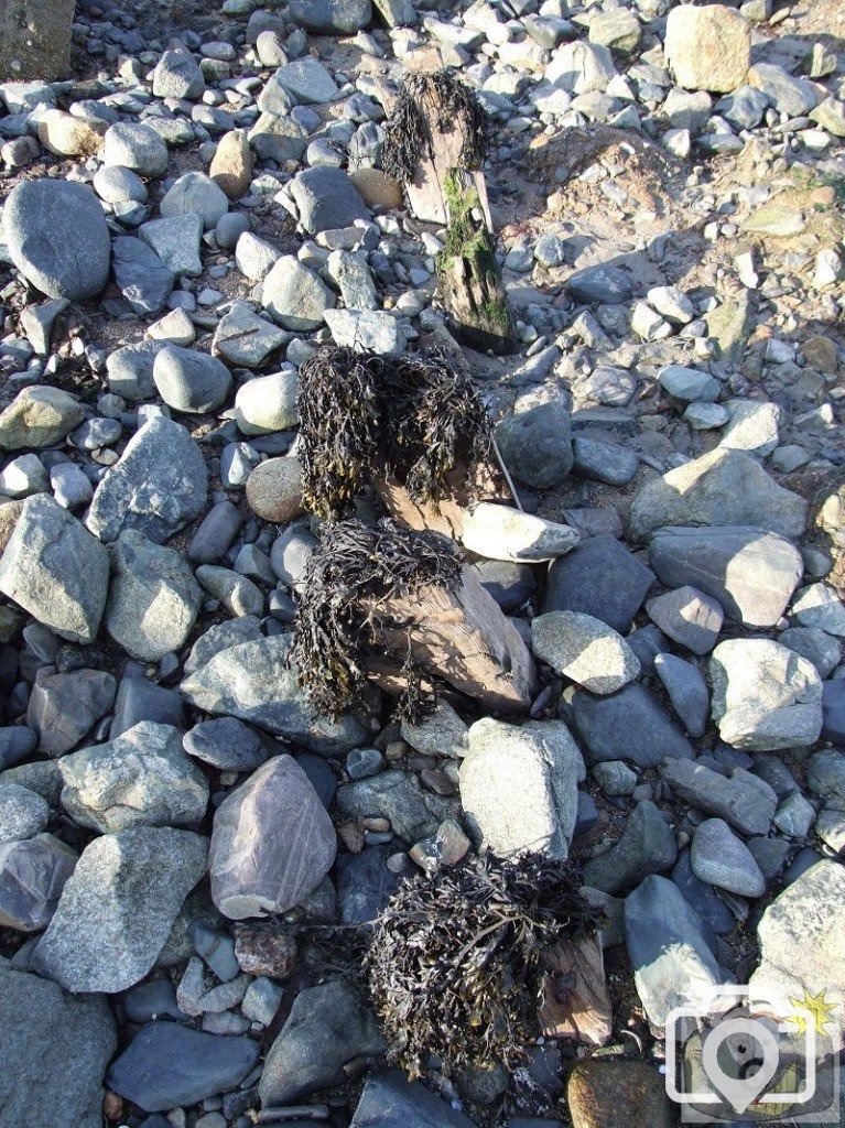 Tolcarne sea wall
