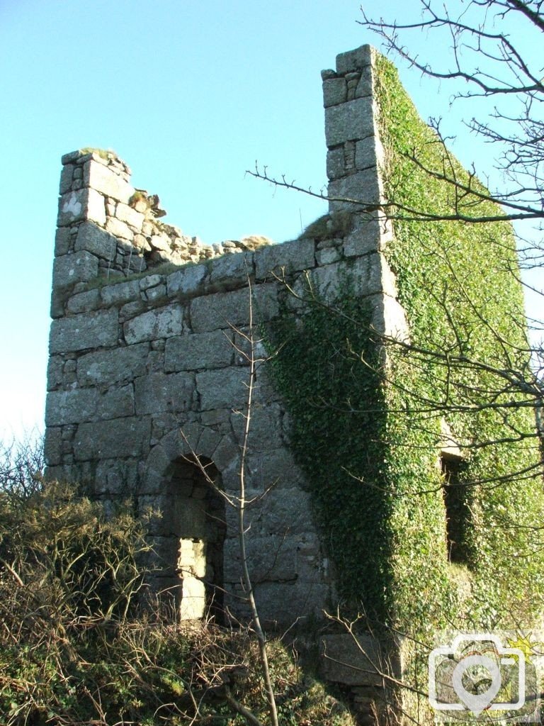 Tredinneck shaft