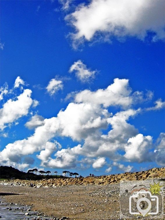 Tree Line