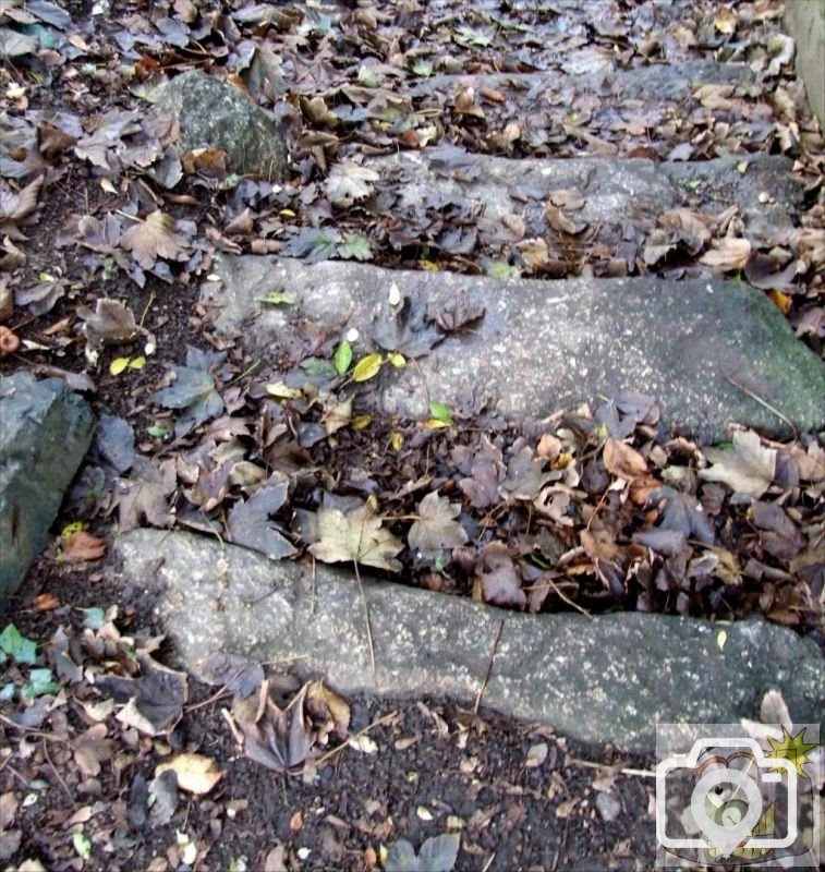 Treneere Barton - steps