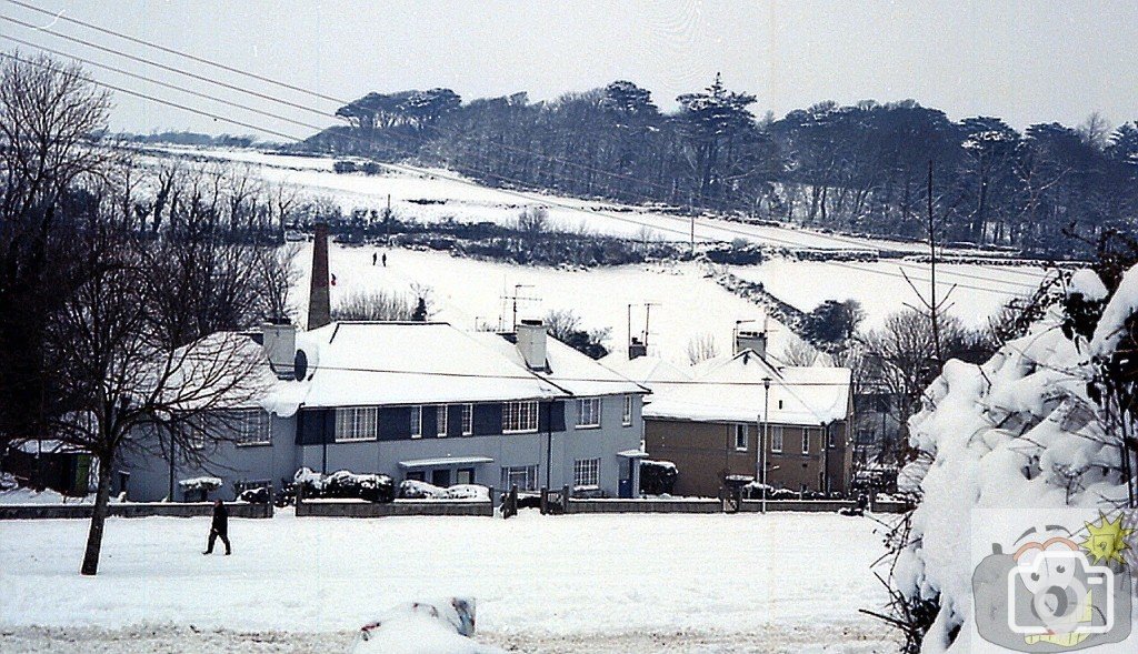 Treneere Snow