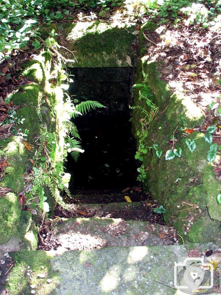 Trengwainton Gardens