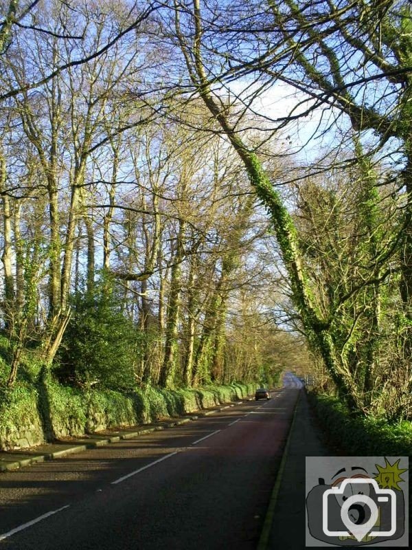 Trereife Crossroads