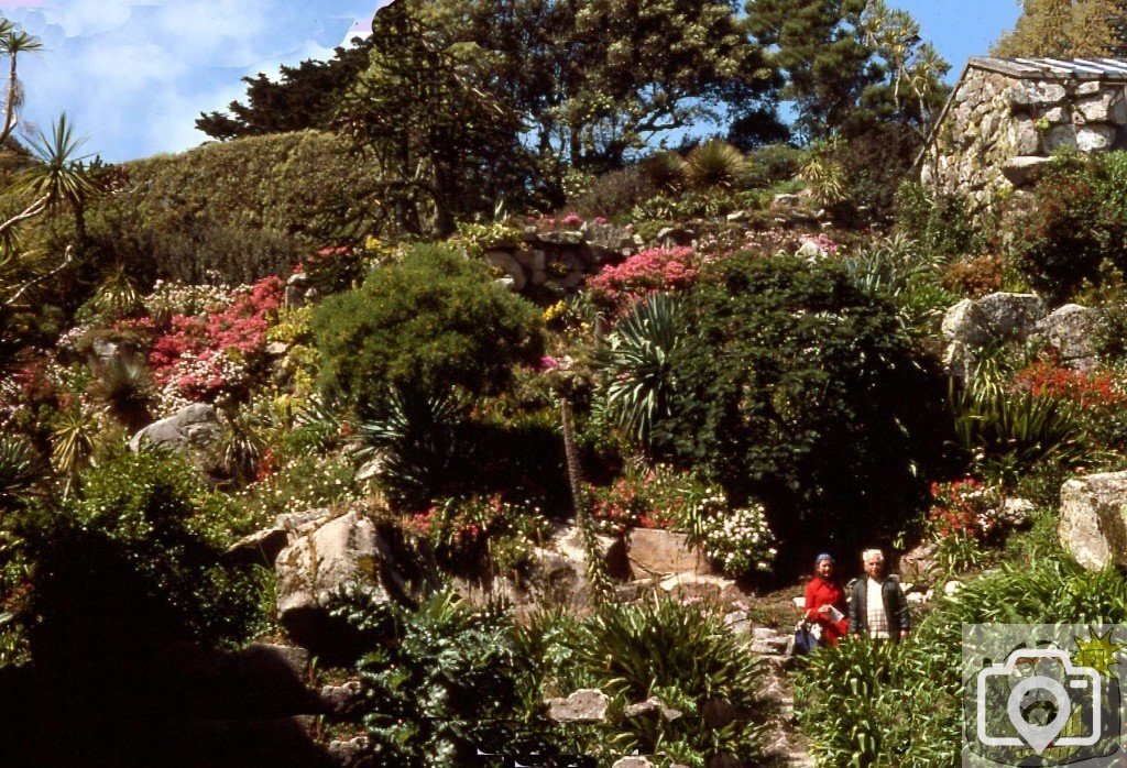 Tresco Gardens, Scilly