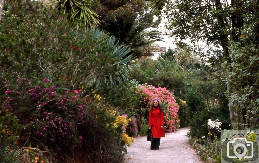 Tresco Gardens, Scilly