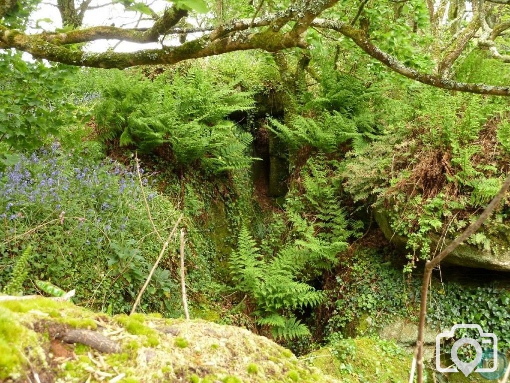 Trevelloe House and Carn - 2nd May, 2011