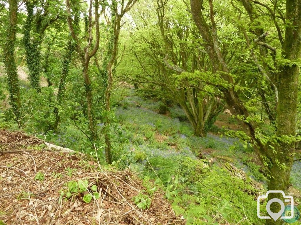 Trevelloe House and Carn - 2nd May, 2011