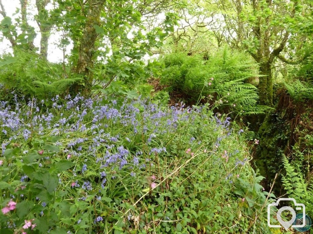 Trevelloe House and Carn - 2nd May, 2011