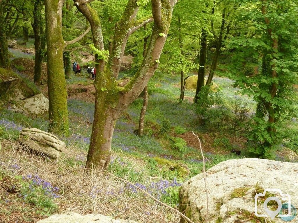 Trevelloe House and Carn - 2nd May, 2011