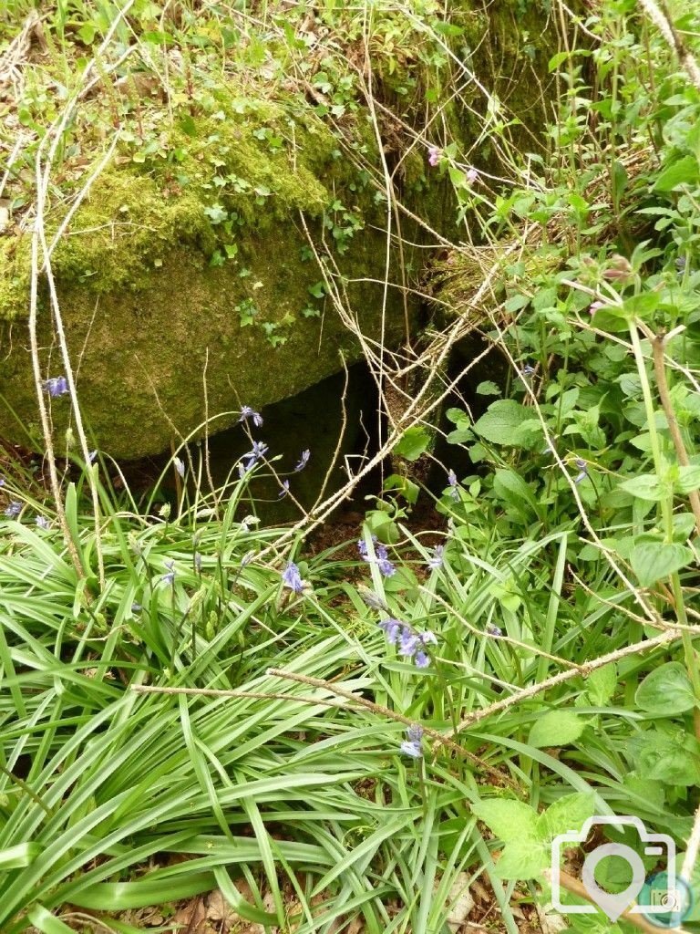 Trevelloe House and Carn - 2nd May, 2011