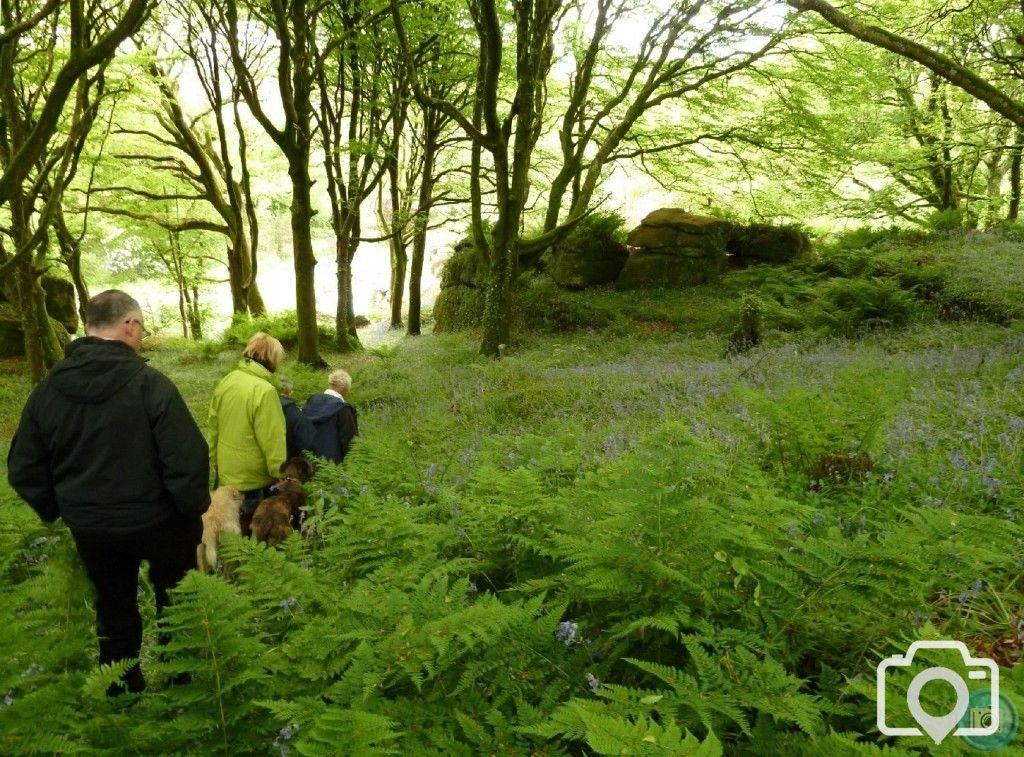 Trevelloe House and Carn - 2nd May, 2011