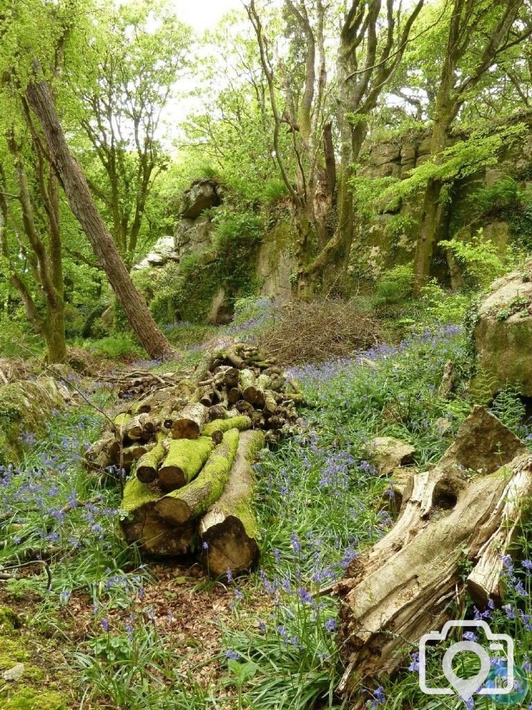 Trevelloe House and Carn - 2nd May, 2011