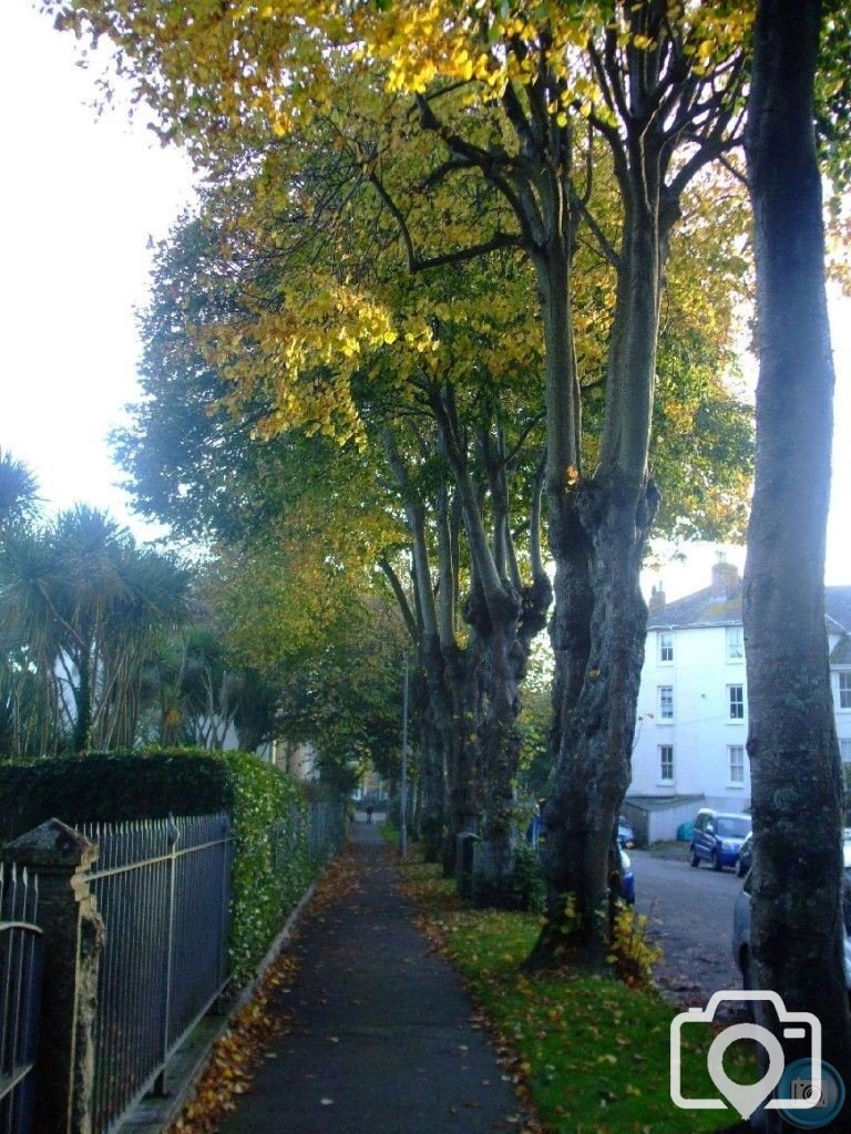 Trewithen Road and Alexandra Road in Autumn, 4th Nov10