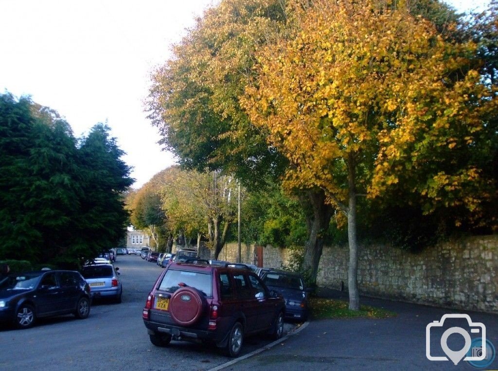 Trewithen Road in Autumn, 4th Nov10