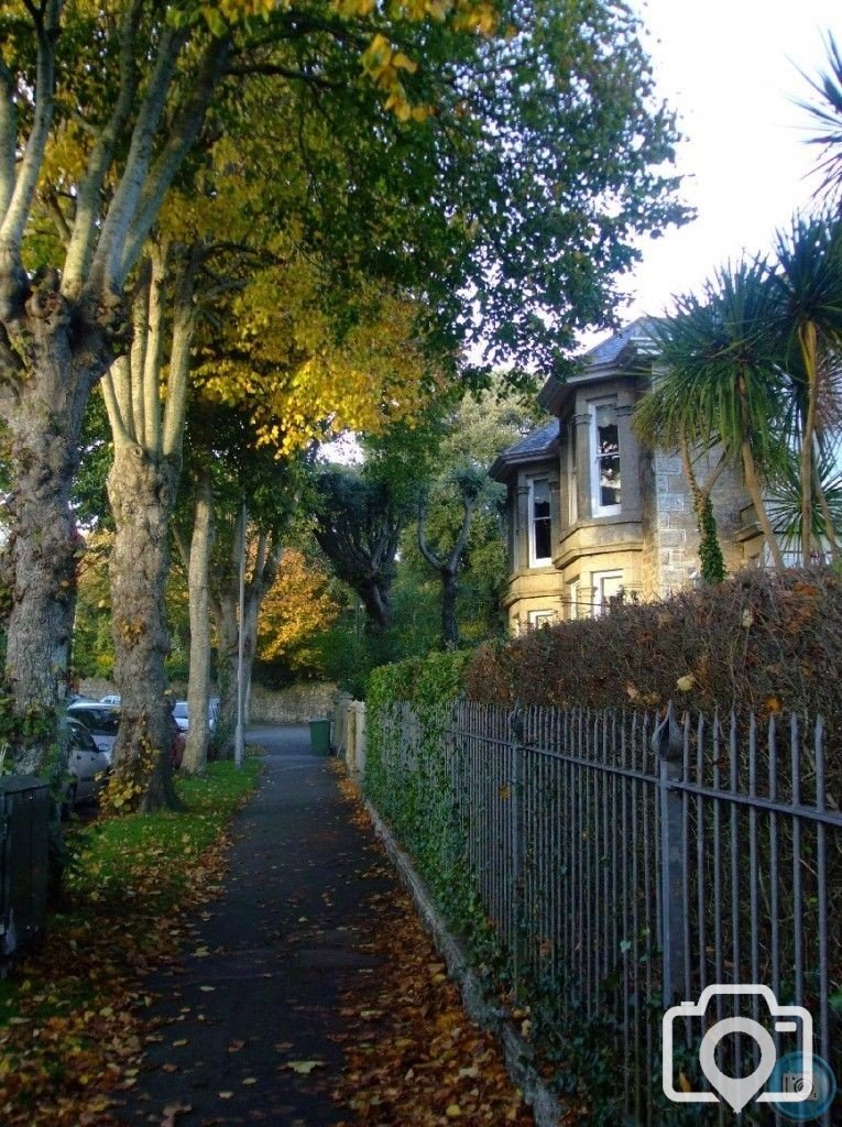 Trewithen Road to Penlee Park entrance in Autumn, 4th Nov10