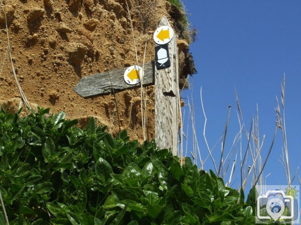 Up the Coastal Path!