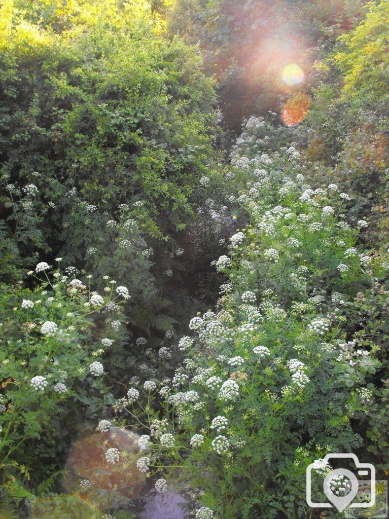 Upstream