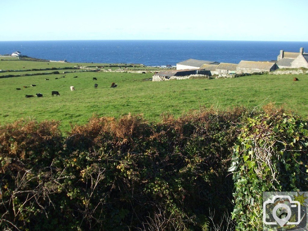 View from lane to Pendeen Manor Farm - 24Oct10