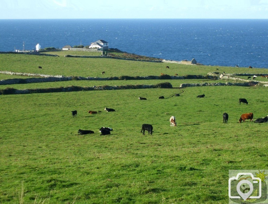 View from lane to Pendeen Watch - 24Oct10