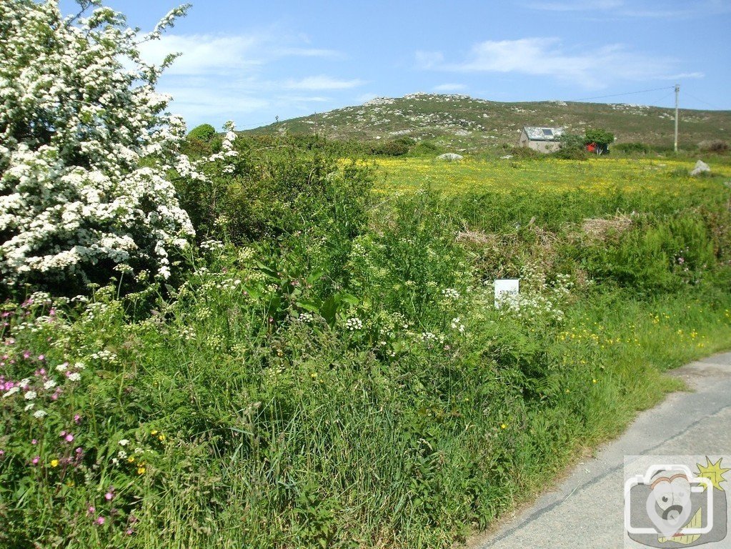 View from Zennor - 03Jun10