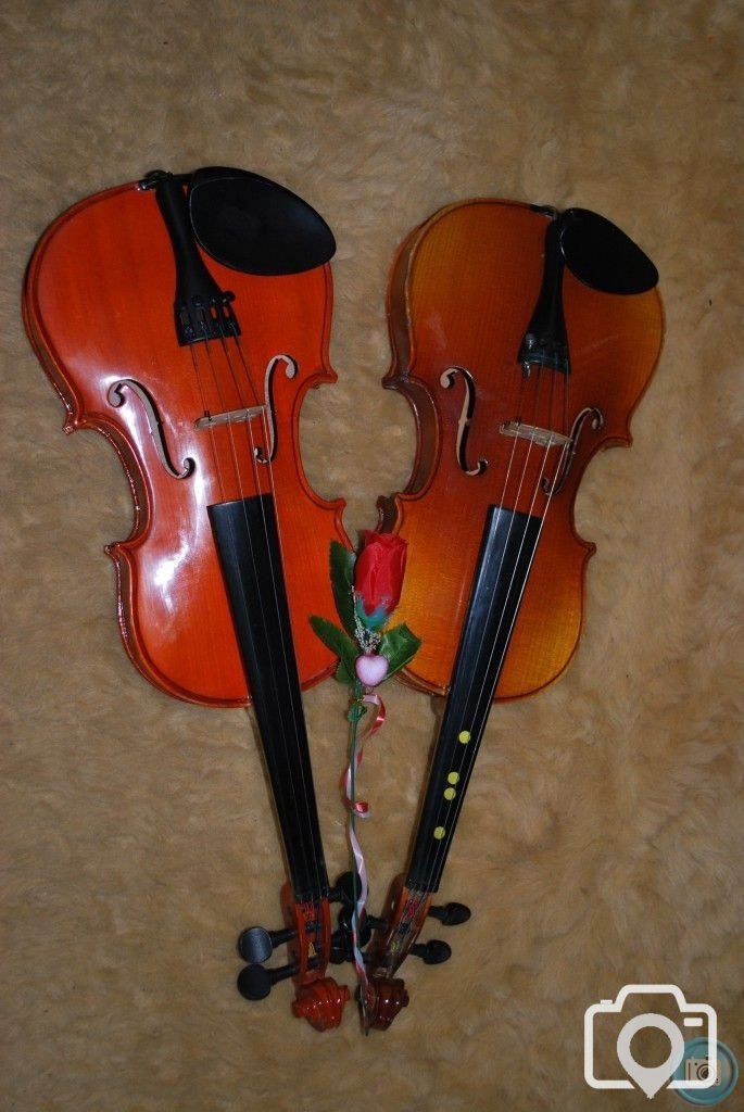 violin duet