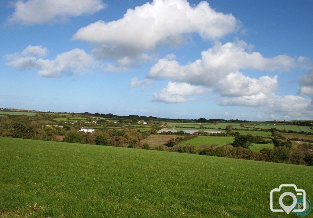 walk in the fields