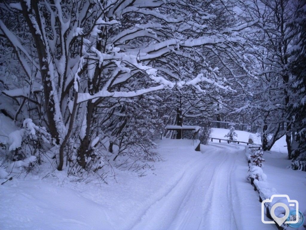 Walking In A Winter Wonderland