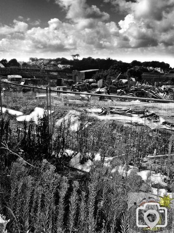 Wasteland