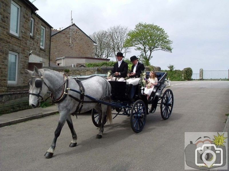 Wedding Carriage