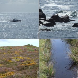 Tresco Bays