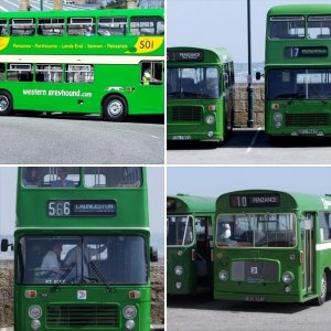 Green Buses