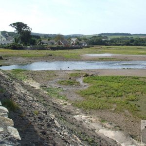 Hayle Estuary: Sept., 2007