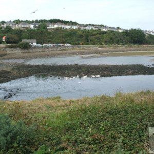 Hayle Estuary to the east: Sept., 2007