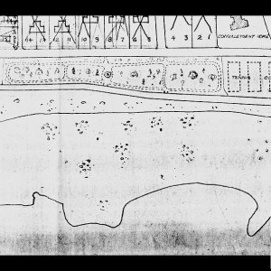 Bolitho Gardens, 1922