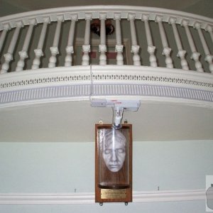 Nelson's death mask - The Minstrels' Gallery, the Union Hotel