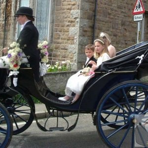 Wedding Carriage near the Rec