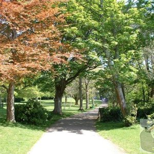 Penlee Park in Summer - 2005