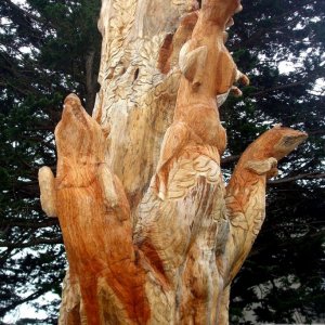 3-Carved tree, Penzance - 4th Dec., 2009