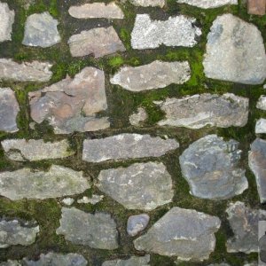 Pointing [mossy] in the side of the Terrace, Market Jew St