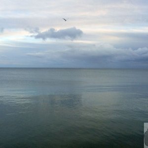 From the Promenade, Penzance: A leaden sea
