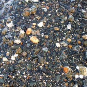 Pebbles on the beach at Lariggan - 19Feb10