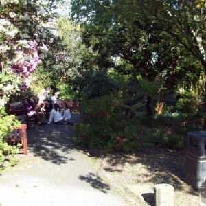 A shady nook in Morrab Gdns - 22may10