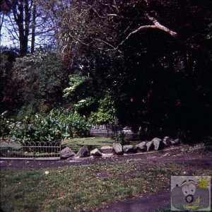 The pond at the bottom of Penlee Park, 1977