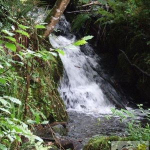 Mill waterfall
