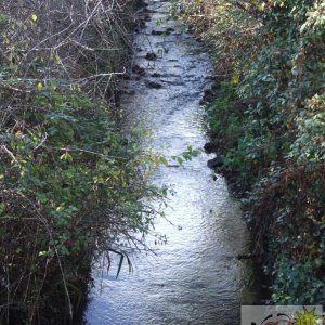 Chyandour Brook