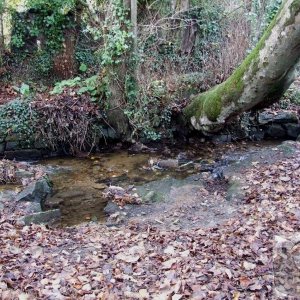 Chyandour Brook