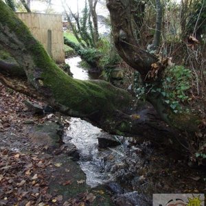 Chyandour Brook