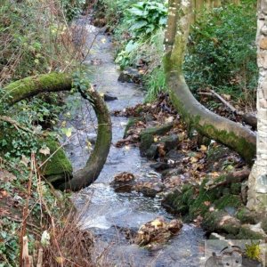 Chyandour Brook