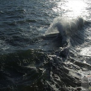 A cheery wave from me